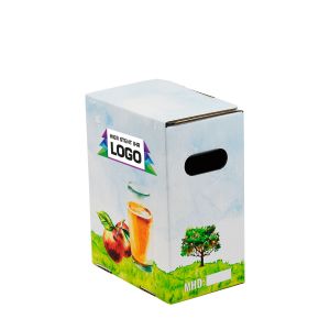 3 Liter Bag in Box für Apfelsaft